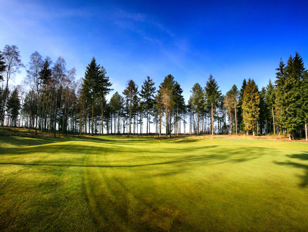 Fairway with trees around at Remedy Oak Golf Club