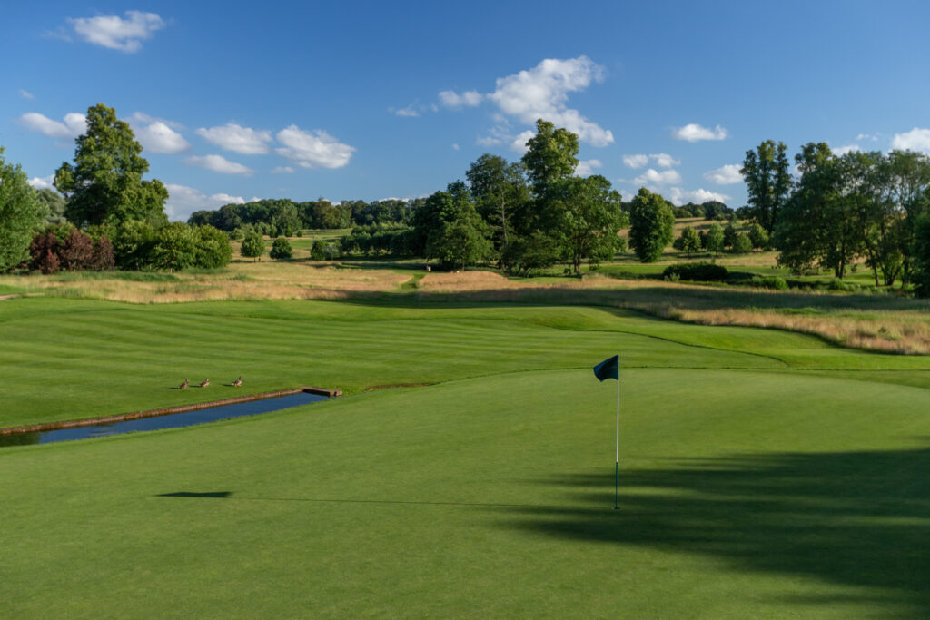 Hole with blue flag at The Grove - Championship with trees in background