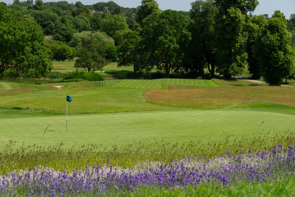 Hole with blue flag with fairway in background with trees around at The Grove - Championship