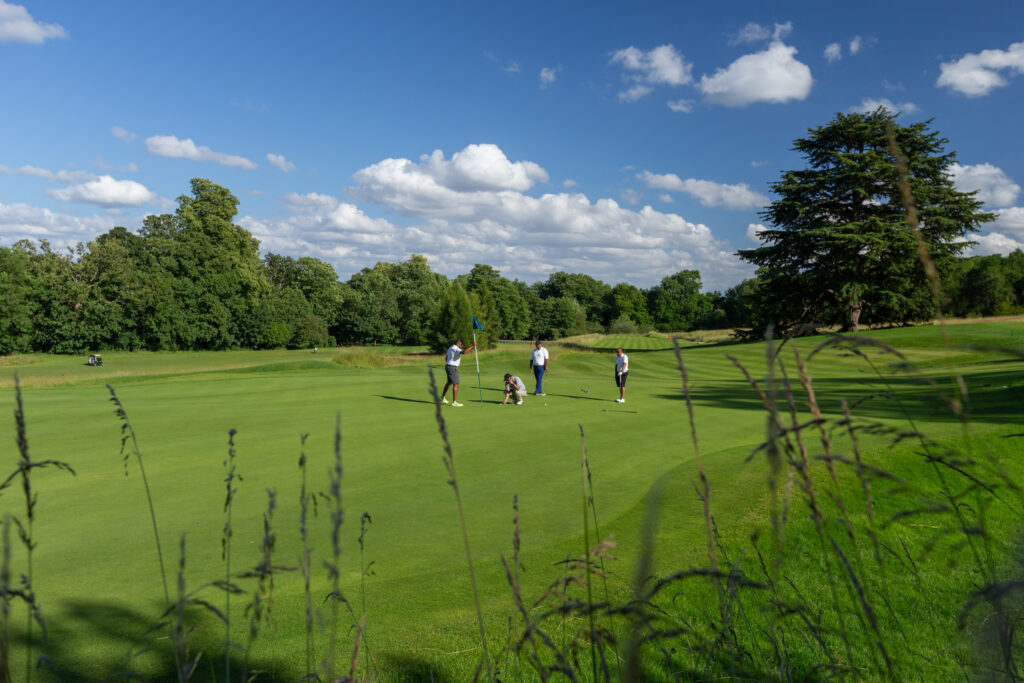 People playing golf at The Grove - Championship with trees around