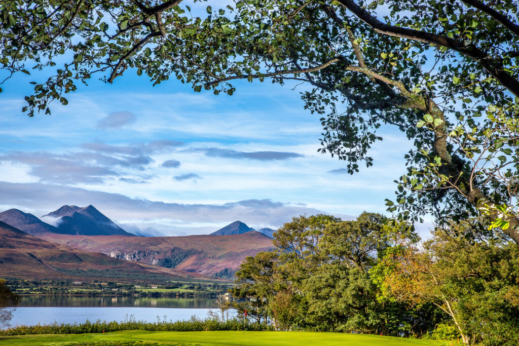 Trees at Killarney Golf & Fishing Club - Killeen Course wtih hills in distance