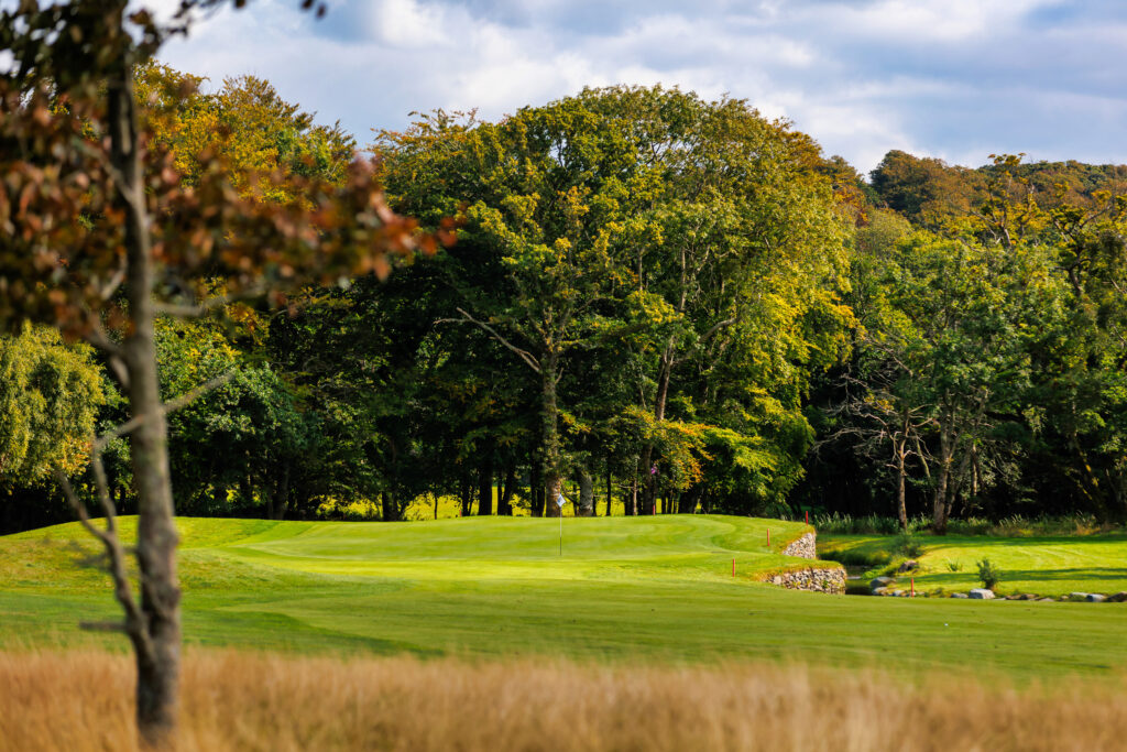 Fairway at Killarney Golf & Fishing Club - Killeen Course with trees around