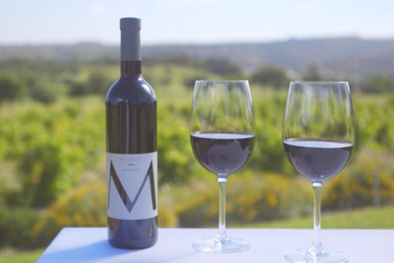 a bottle of winr with two wine glasses and a vineyard in the background