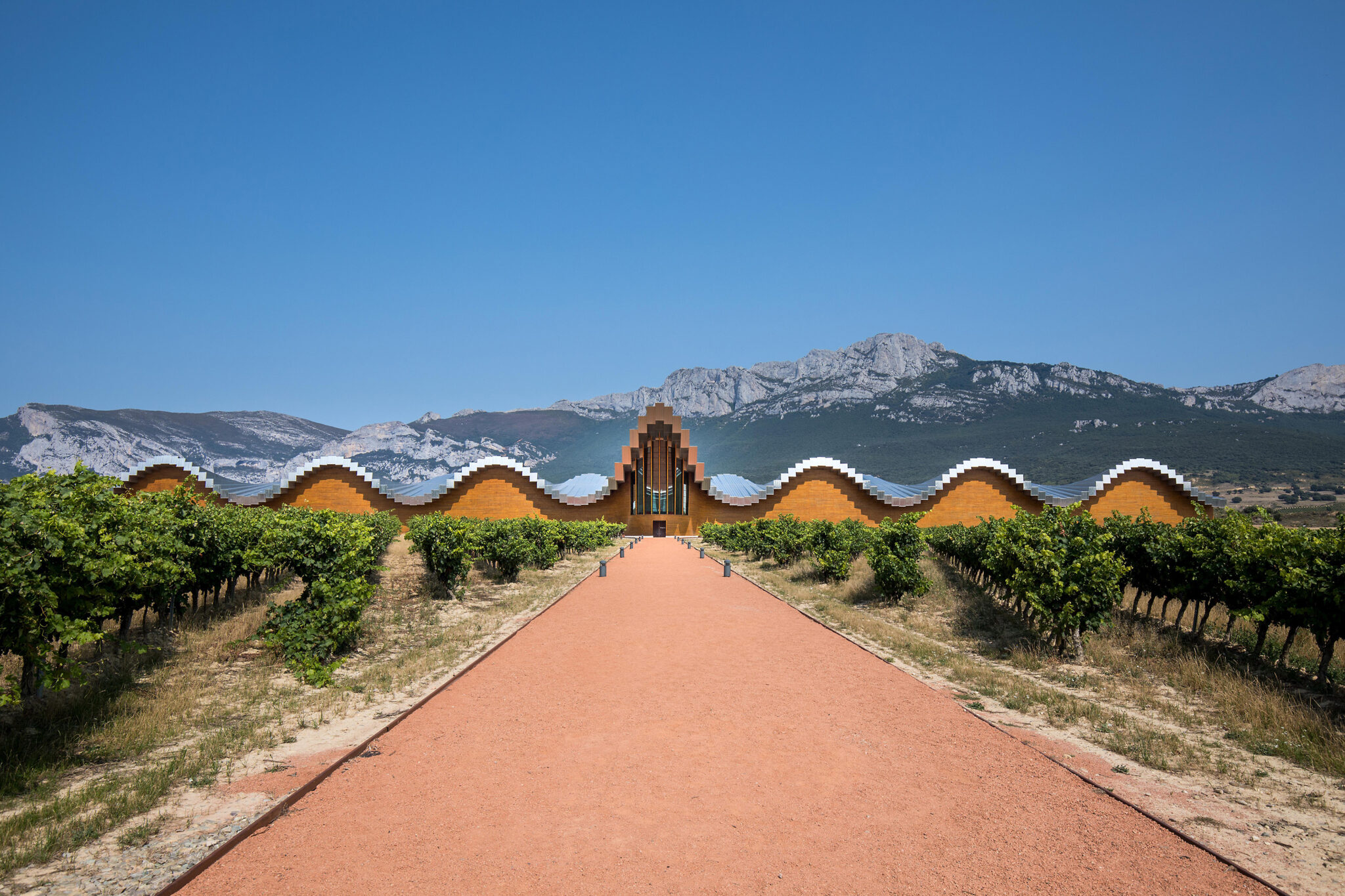 front of a winery building in the rioja with vineyards in the foreground