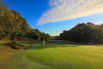 Hole with yellow flag at Royal Ashdown Forest - West Course with trees around