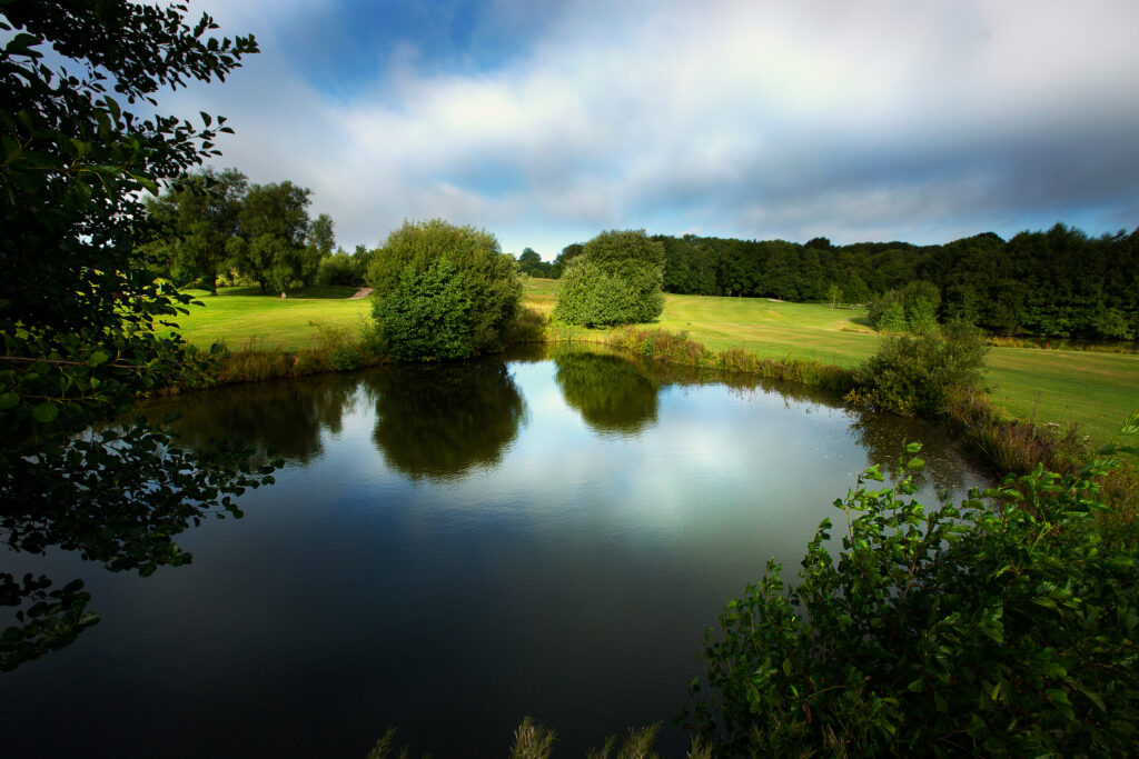 Lake on fairway with trees at Sandford Springs