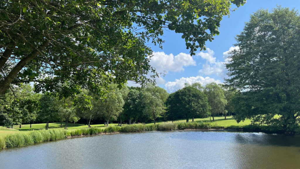 Lake on fairway with trees around at Sandford Springs