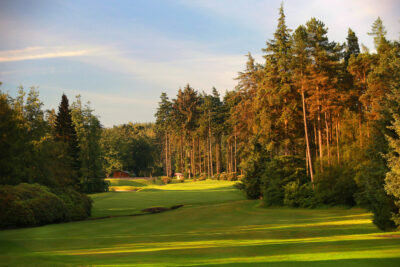 Fairway with trees around at Slaley Hall - Hunting Course