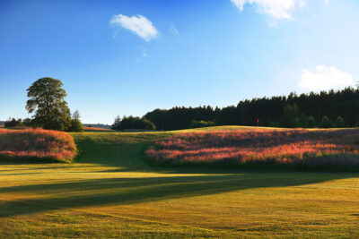 Fairway at Slaley Hall - Priestman Course with trees in background