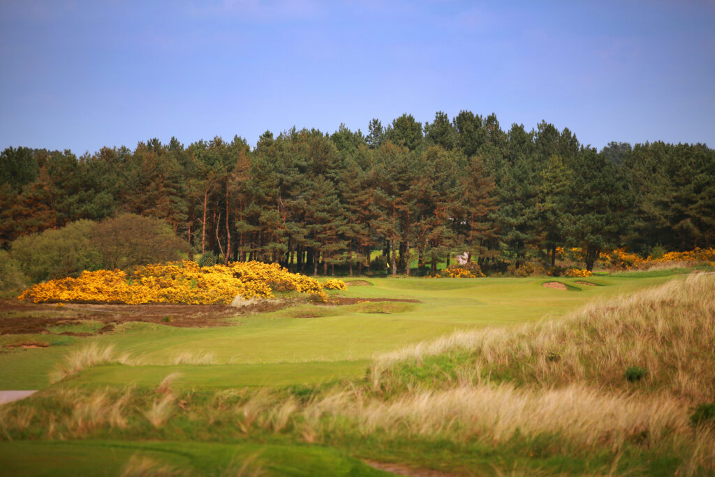 Fairway with trees around at Southport & Ainsdale