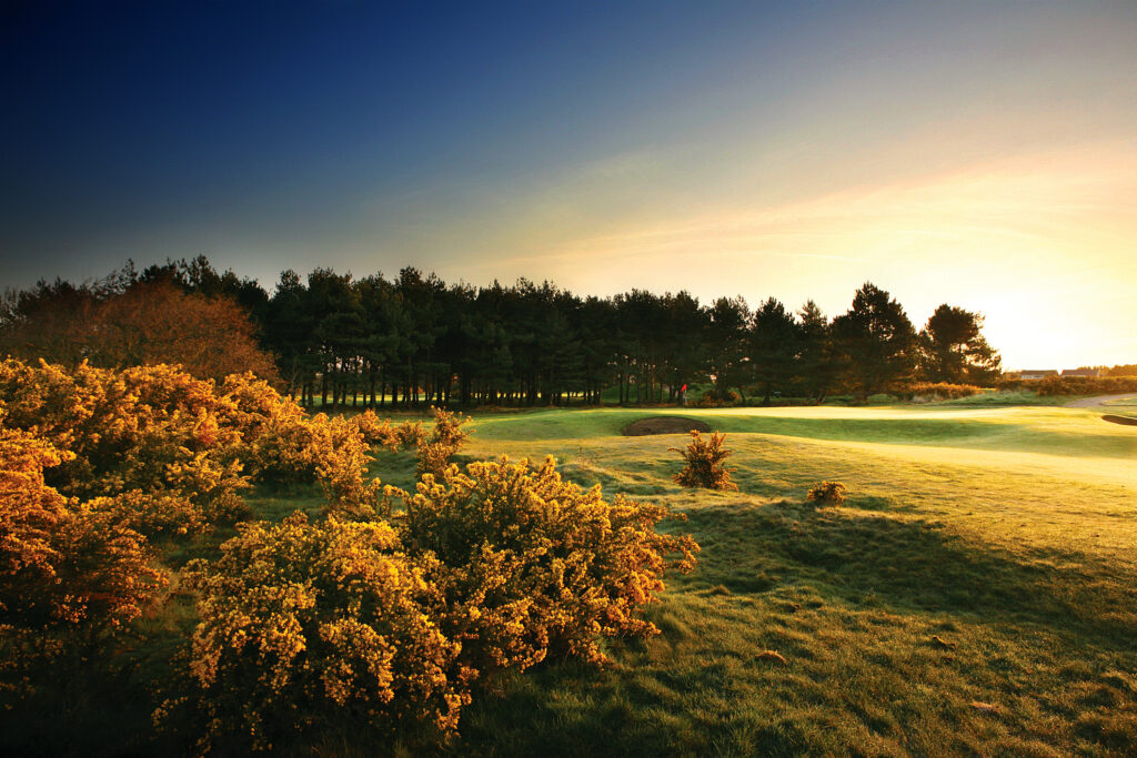 Fairway with foliage and trees in background at Southport & Ainsdale at sunset