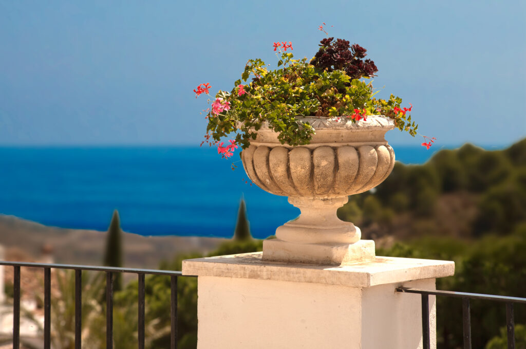 Potted plant on balcony at Hotel TRH Mijas