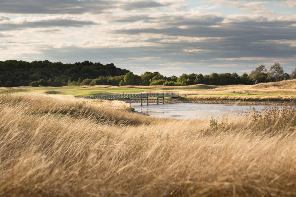 Fairway with lake and bridge at The Oxfordshire with trees in background