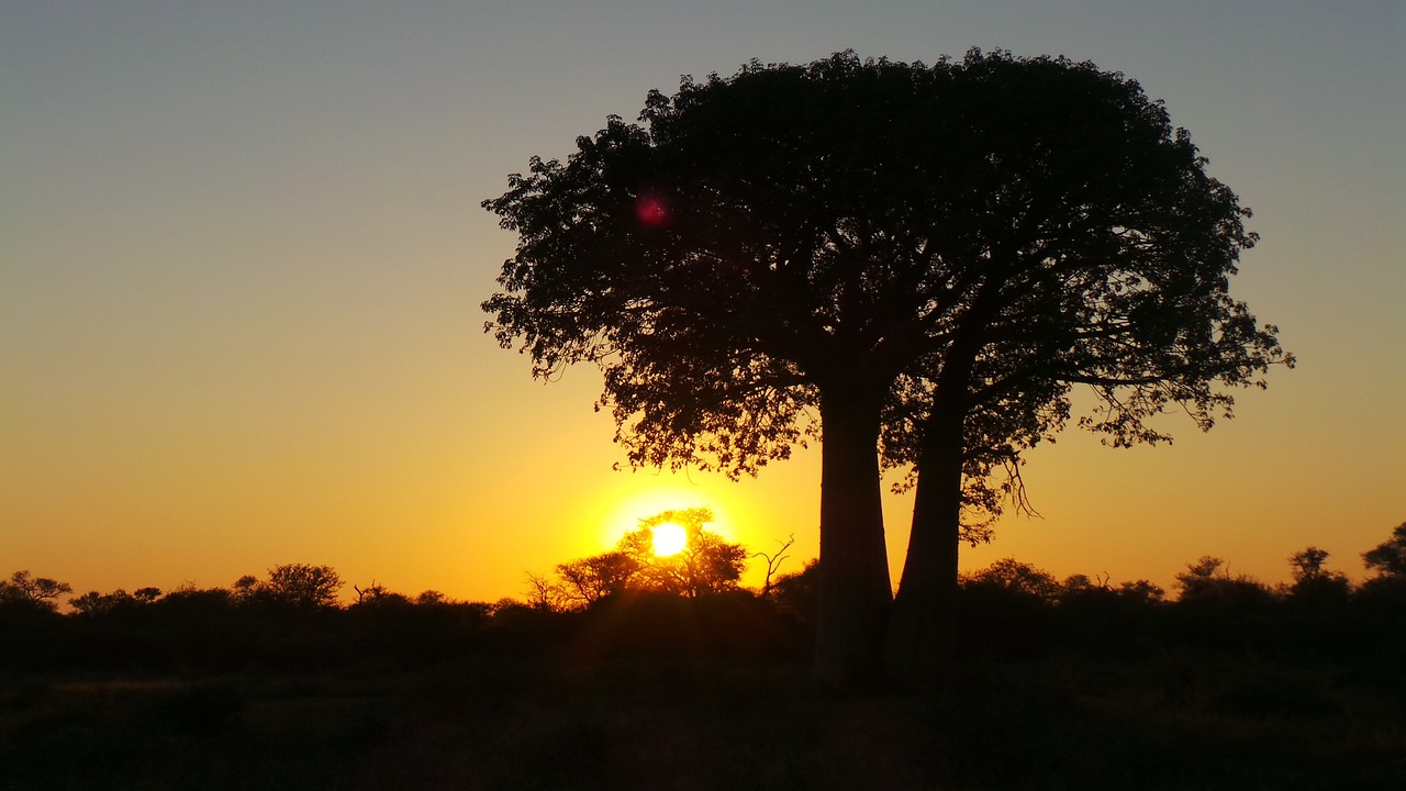 Northern Province, South Africa