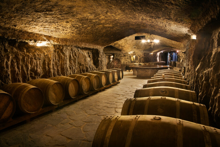 Wine cellar at Hotel Eguren-UGarte with barrels around