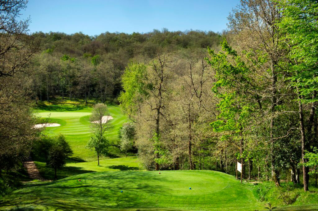 Tee box at Izki Golf Club with trees around