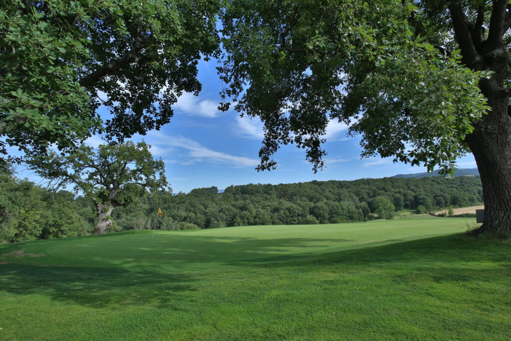 Hole with yellow flag at Rioja Alta Golf Club with trees around