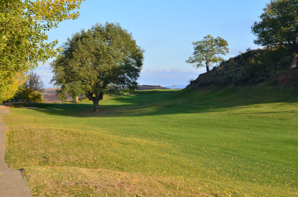 Fairway with trees at Rioja Alta Golf Club