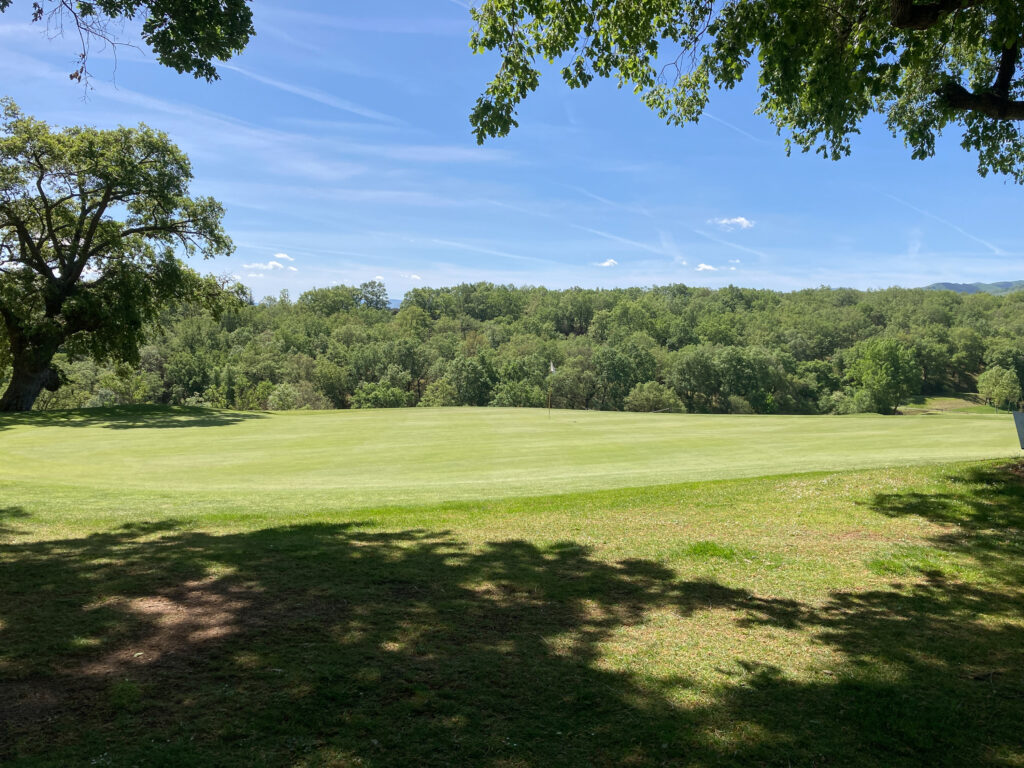 Hole with trees around at Rioja Alta Golf Club