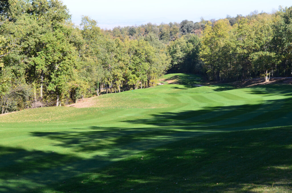 Fairway at Club de Campo Sojuela with trees around