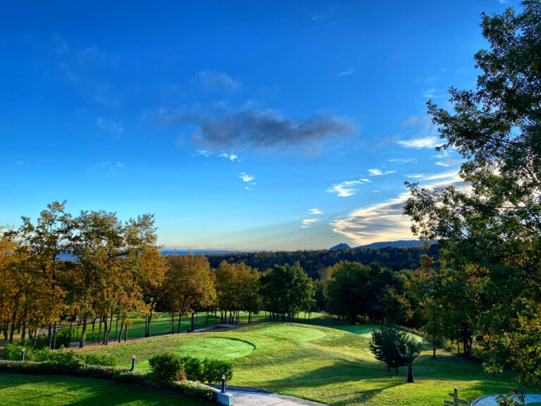 Tee boxes at Club de Campo Sojuela with trees around