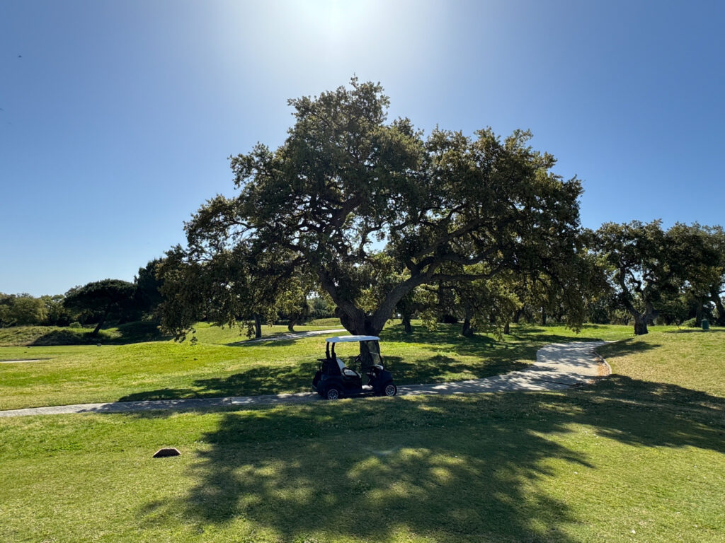 Buggy parked by a tree at San Roque Golf & Resort