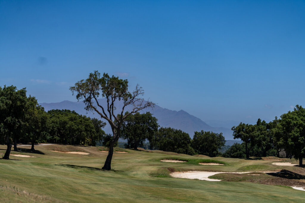 Fairway with bunkers at San Roque Golf & Resort with trees around