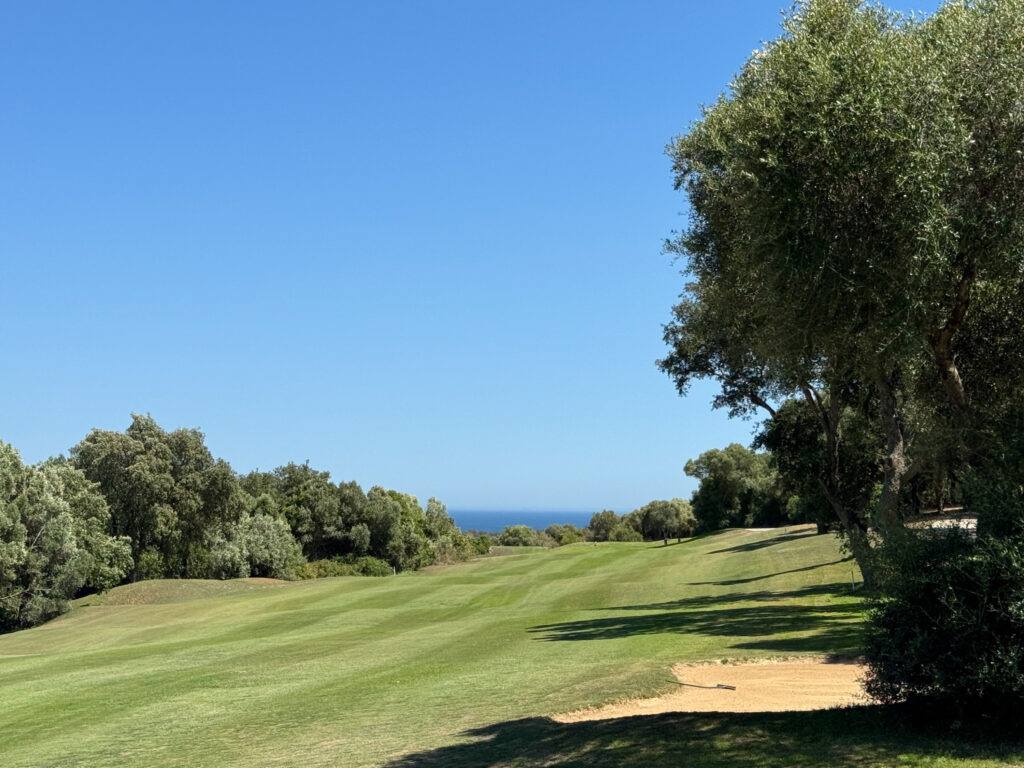 Fairway with bunkers at San Roque Golf & Resort with trees around