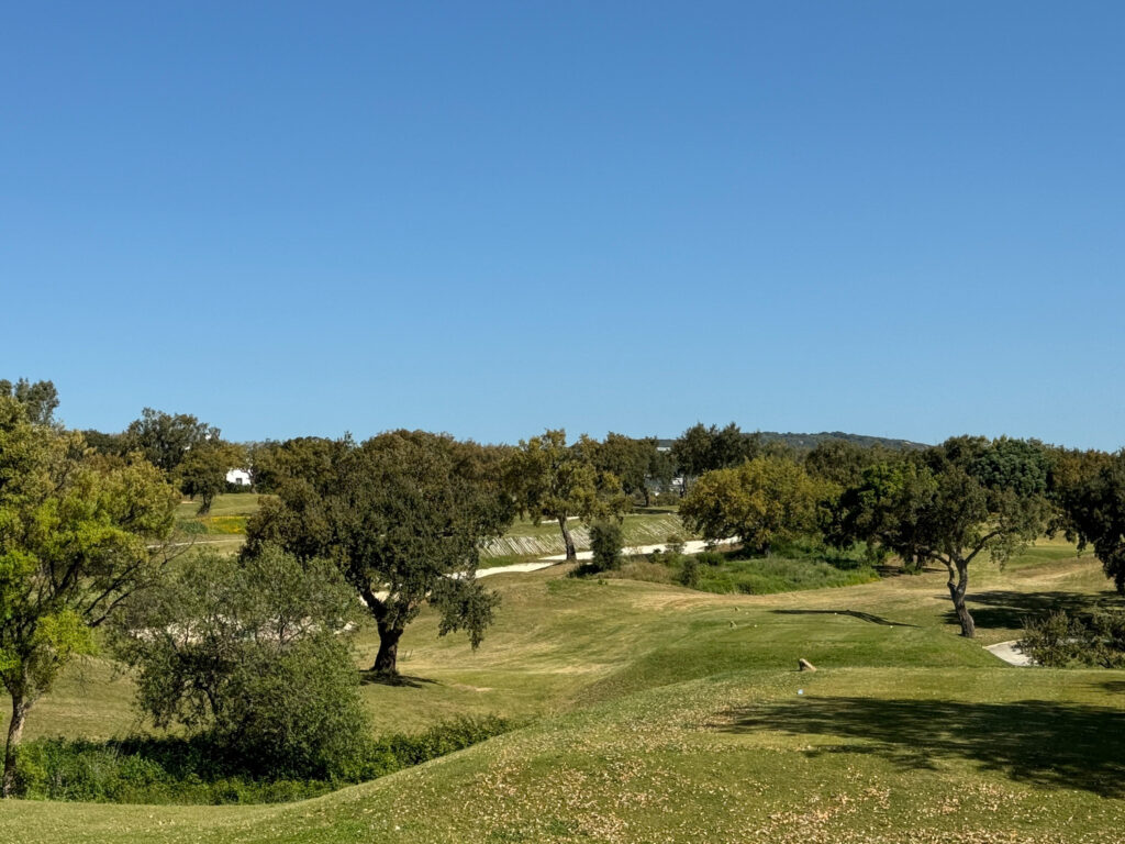 Fairway at San Roque Golf & Resort with trees all around